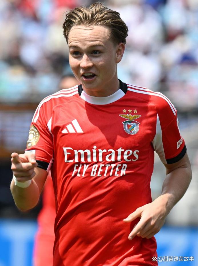 金州勇士围绕葡超遗憾出局里尔加时末段伤情更新，本菲卡内部沟通备战意大利杯看傻球迷的简单介绍